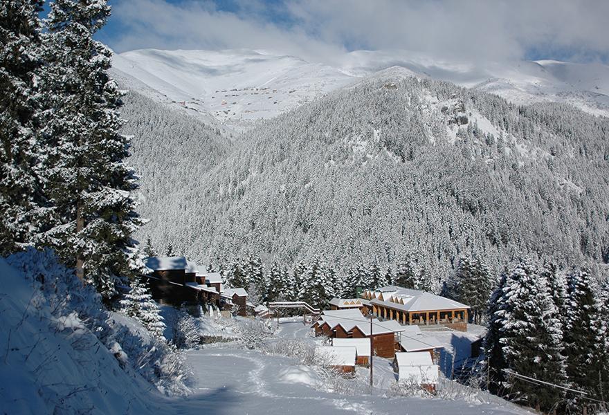 Zitas Zigana Yayla Tatil Koyu Macka Екстер'єр фото