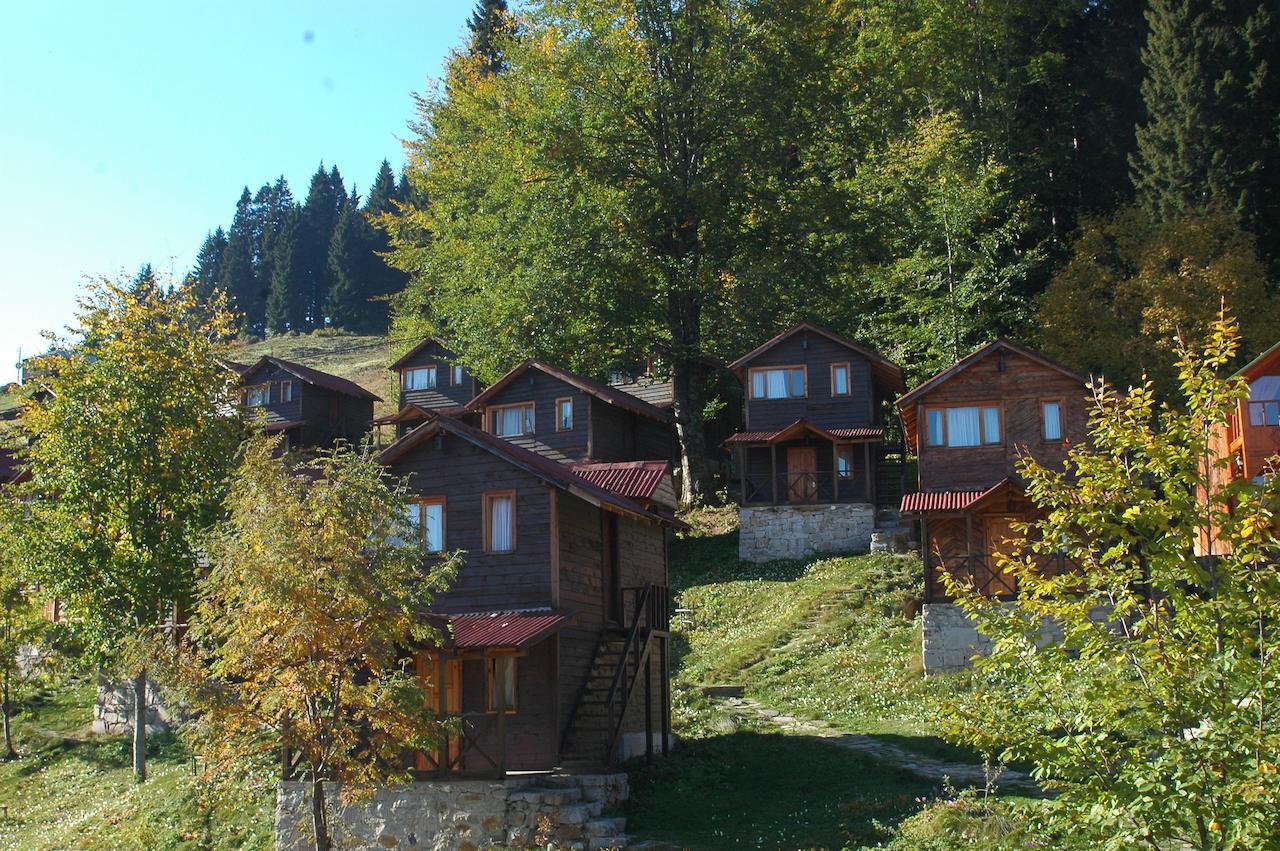 Zitas Zigana Yayla Tatil Koyu Macka Екстер'єр фото