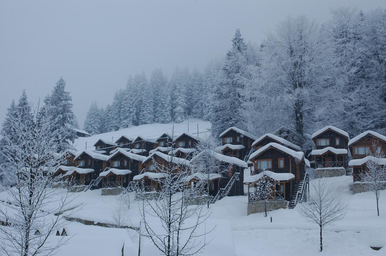 Zitas Zigana Yayla Tatil Koyu Macka Екстер'єр фото