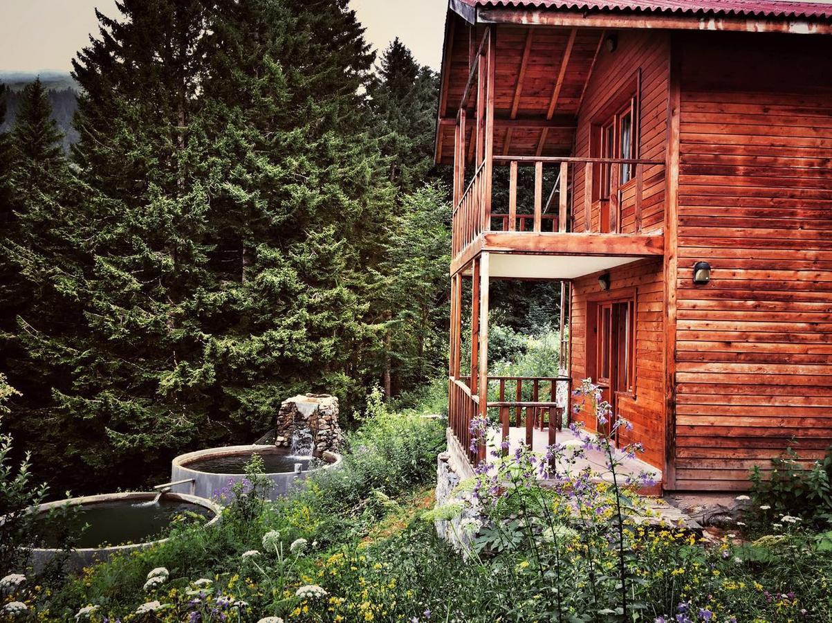 Zitas Zigana Yayla Tatil Koyu Macka Екстер'єр фото