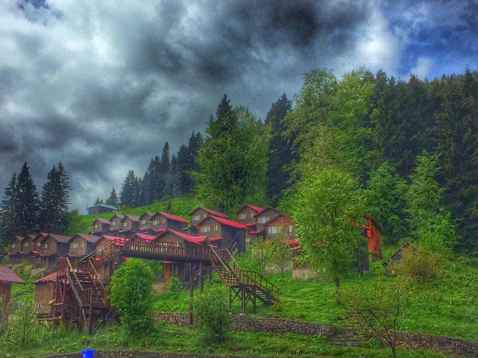 Zitas Zigana Yayla Tatil Koyu Macka Екстер'єр фото