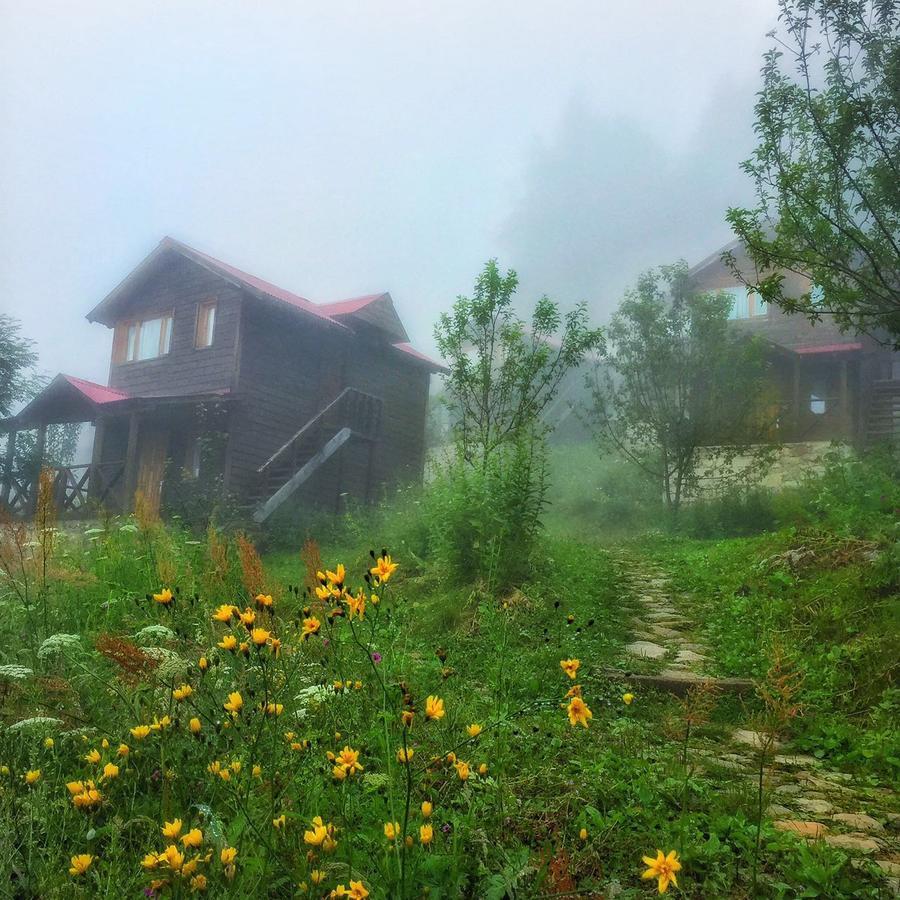 Zitas Zigana Yayla Tatil Koyu Macka Екстер'єр фото