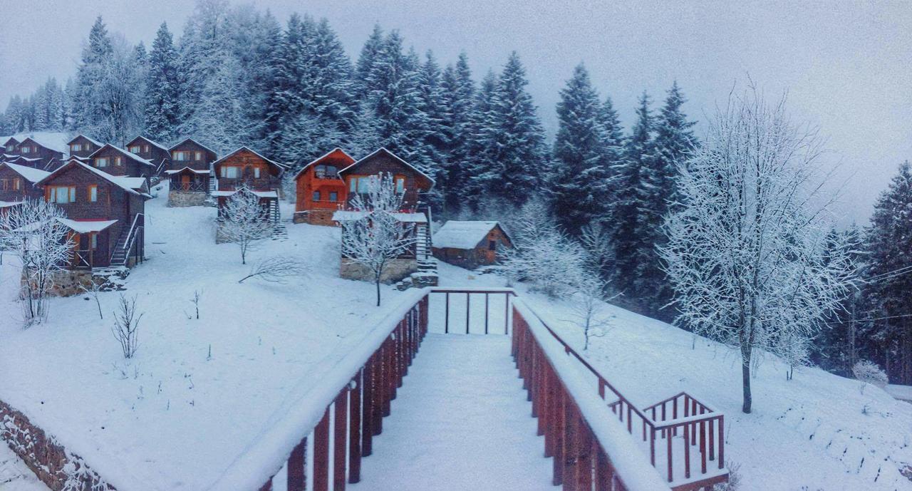 Zitas Zigana Yayla Tatil Koyu Macka Екстер'єр фото