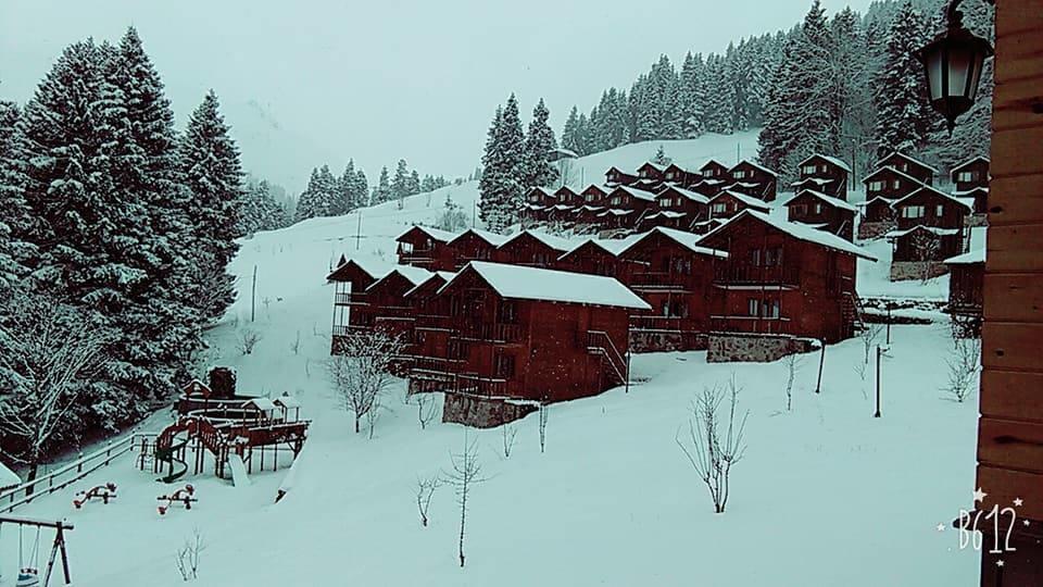 Zitas Zigana Yayla Tatil Koyu Macka Екстер'єр фото